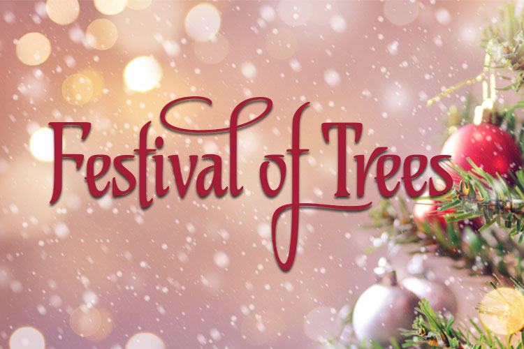 Thank You for a Wonderful Festival of Trees